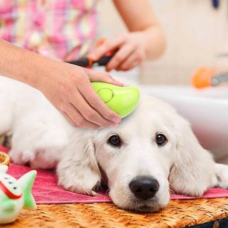 🐾 Combo Removedor de Pelos para Mascotas